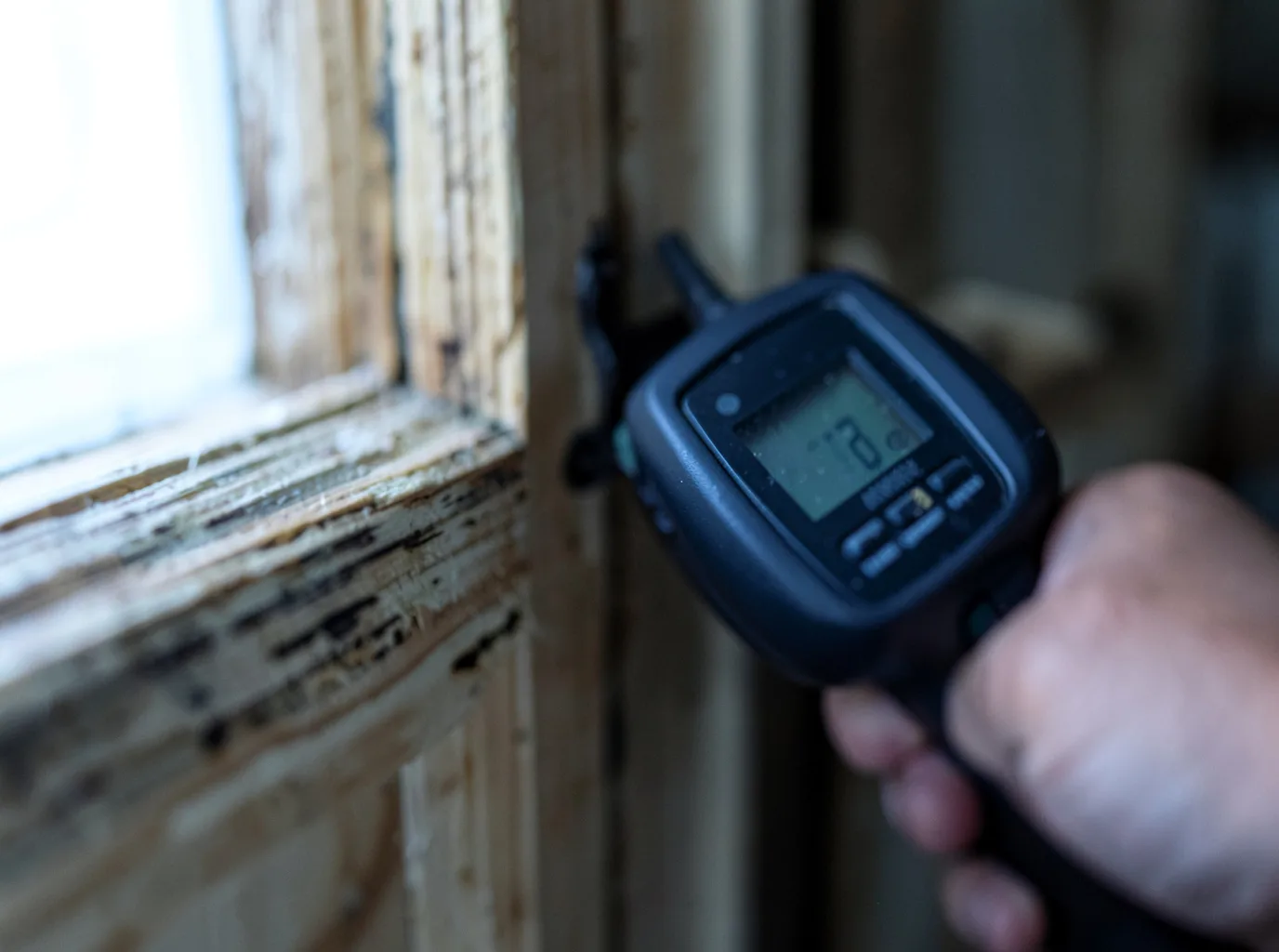 Water Damage Restoration Federal Way, WA FAQs